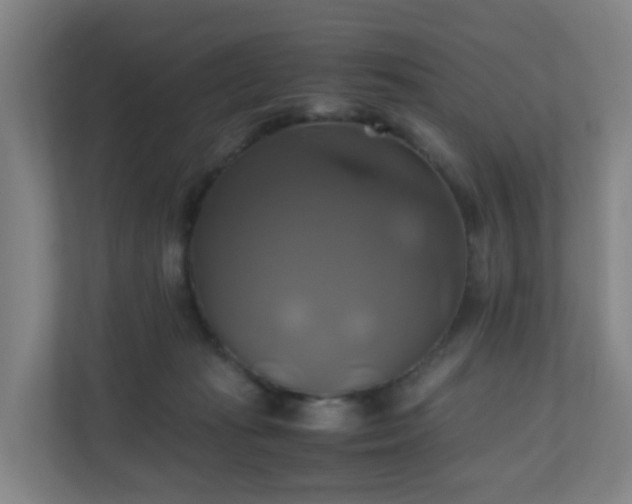 X0000110990269200906261455