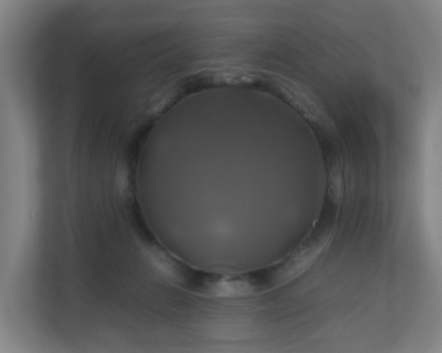 X0000110990270200906261455
