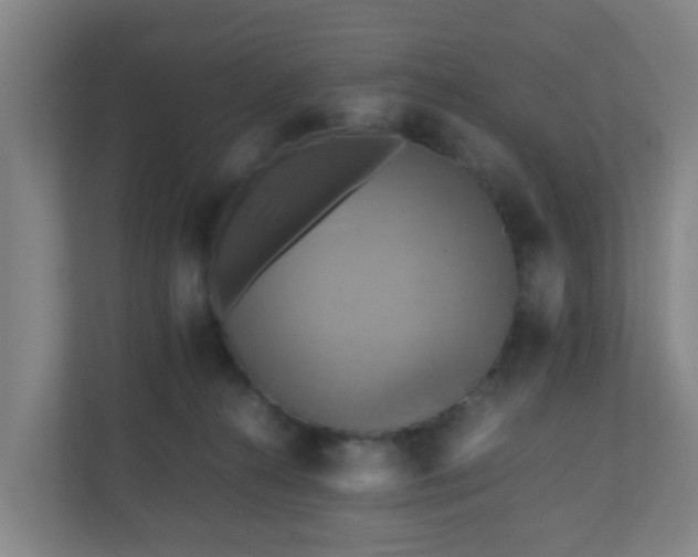 X0000110990272200906261455