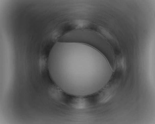 X0000110990276200906261455