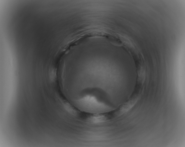 X0000110990278200906261456