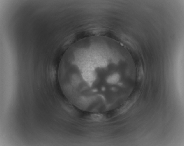 X0000110990279200906261456