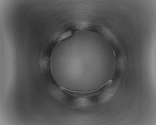 X0000110990280200906261456