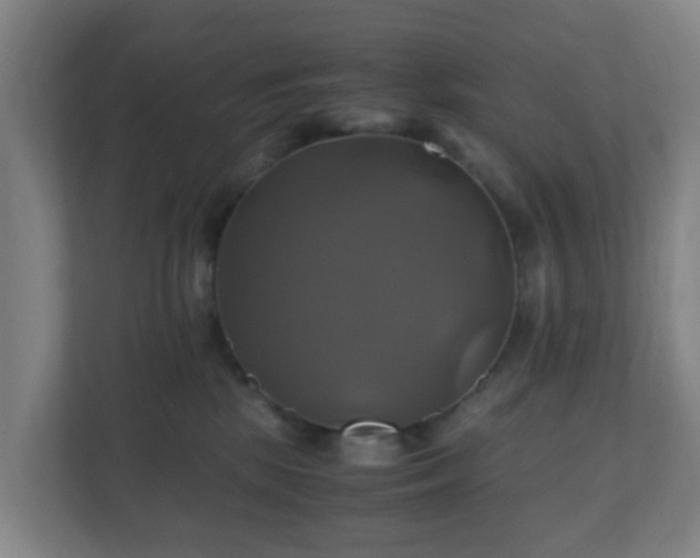 X0000110990281200906261456