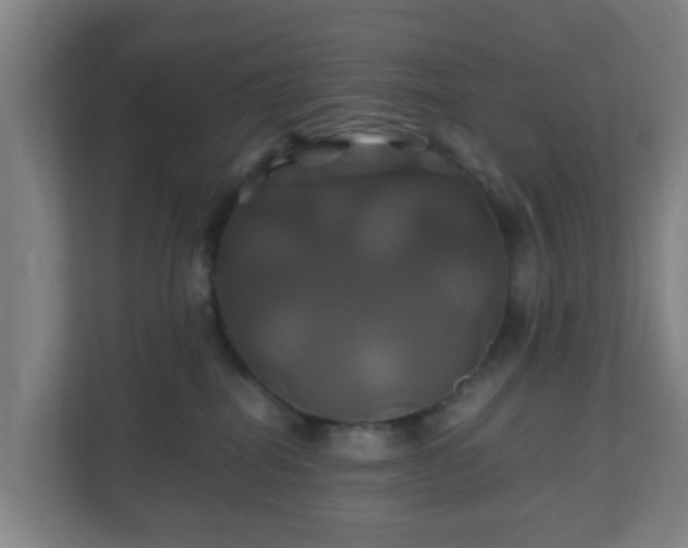 X0000110990282200906261456