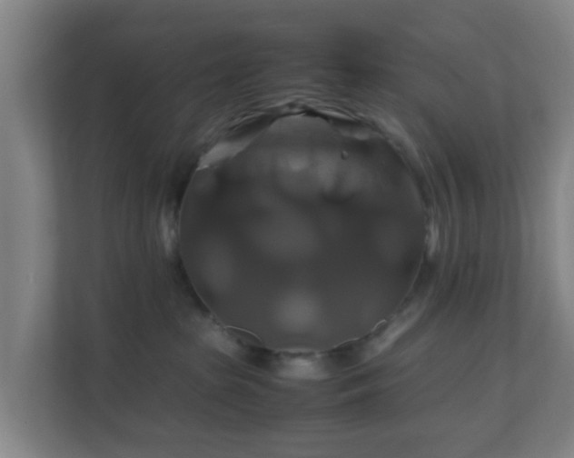 X0000110990285200906261456