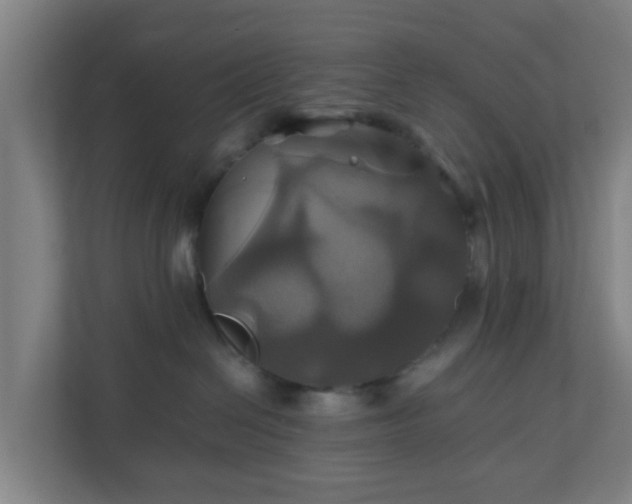 X0000110990286200906261456