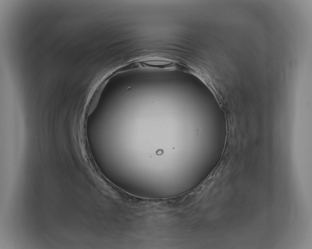 X0000110990289200906261455