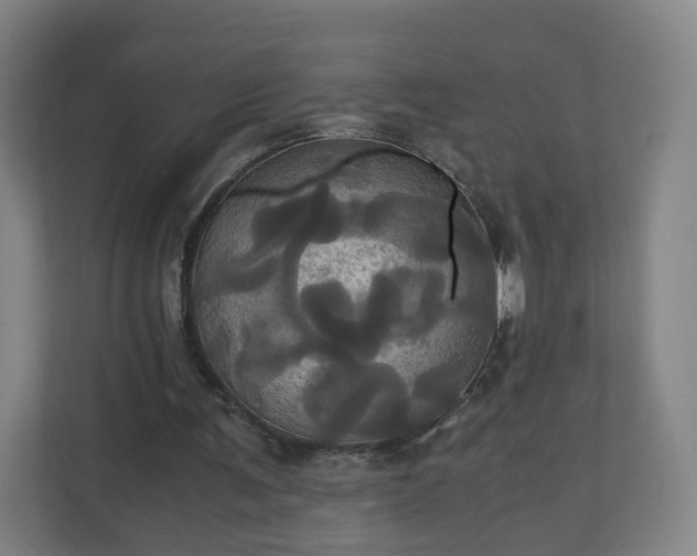X0000110990291200906261455