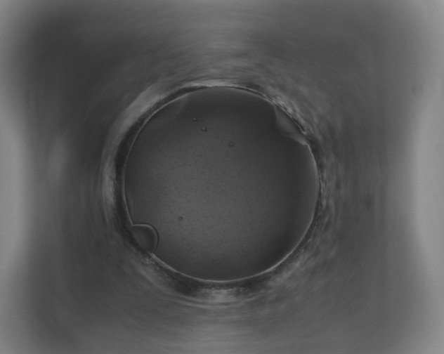 X0000110990295200906261455