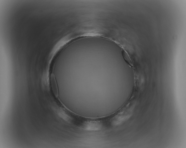 X0000110990296200906261455