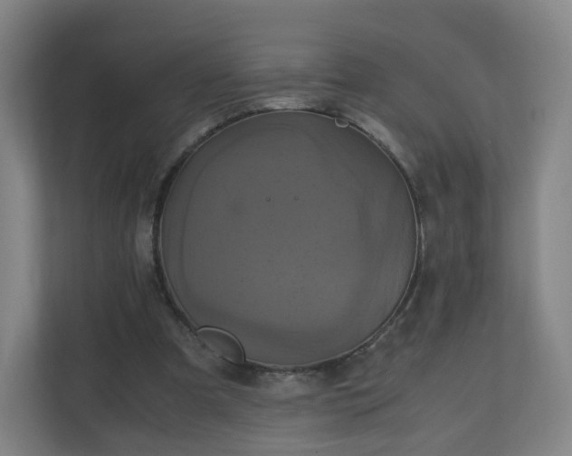 X0000110990297200906261455