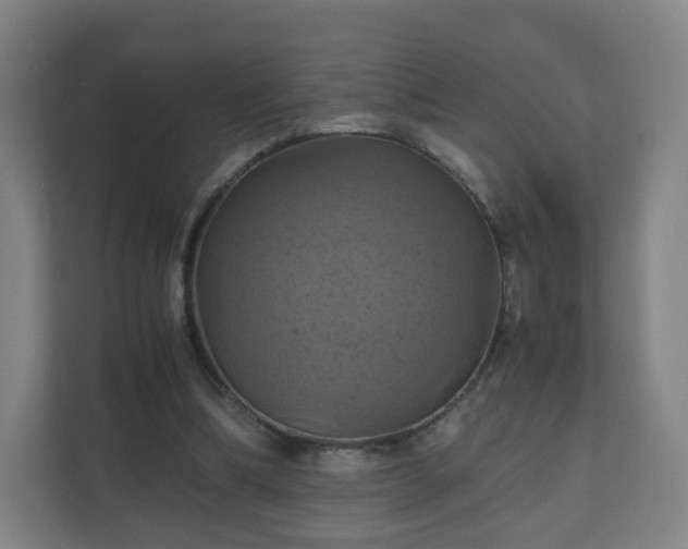 X0000110990298200906261455