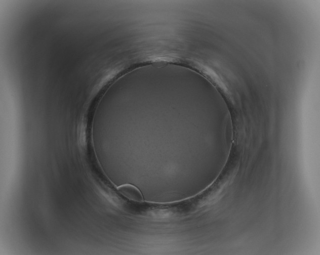 X0000110990299200906261455