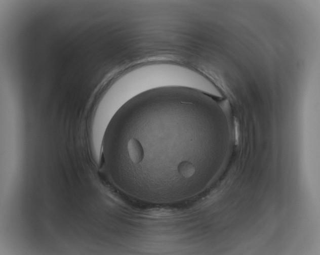 X0000110990300200906261455