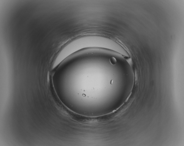 X0000110990301200906261455
