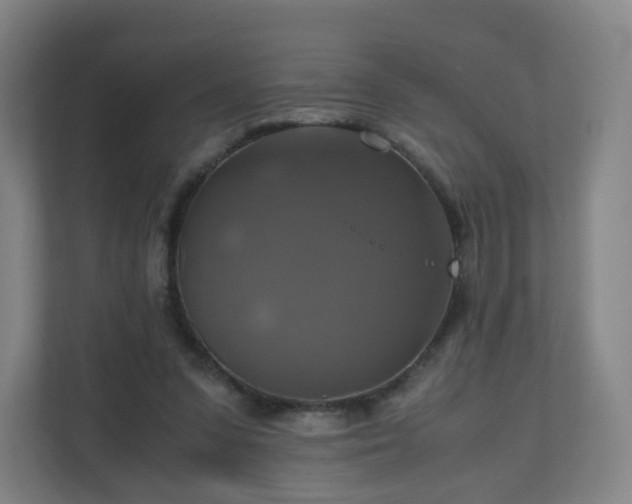 X0000110990303200906261455