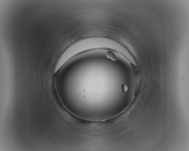 X0000110990305200906261455
