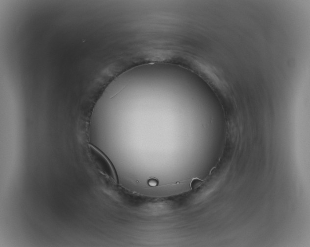 X0000110990307200906261455