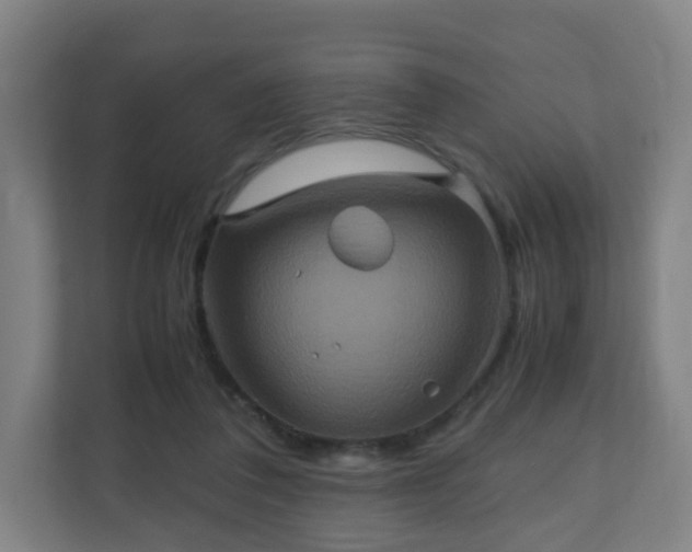X0000110990308200906261455