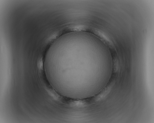 X0000110990310200906261455