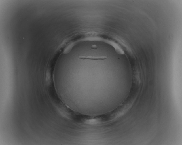 X0000110990312200906261455