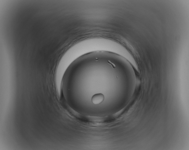 X0000110990313200906261455