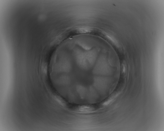 X0000110990315200906261455