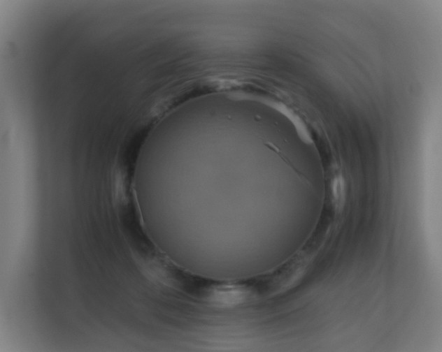 X0000110990316200906261455