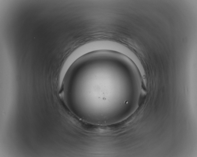 X0000110990317200906261455