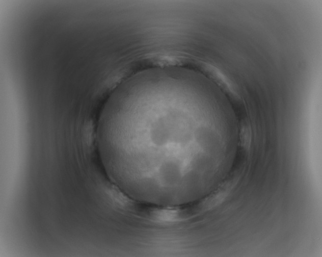 X0000110990318200906261455