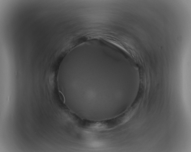 X0000110990319200906261455