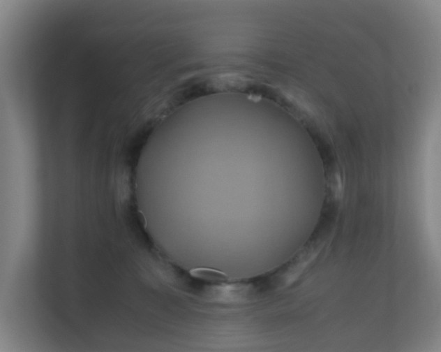 X0000110990323200906261455