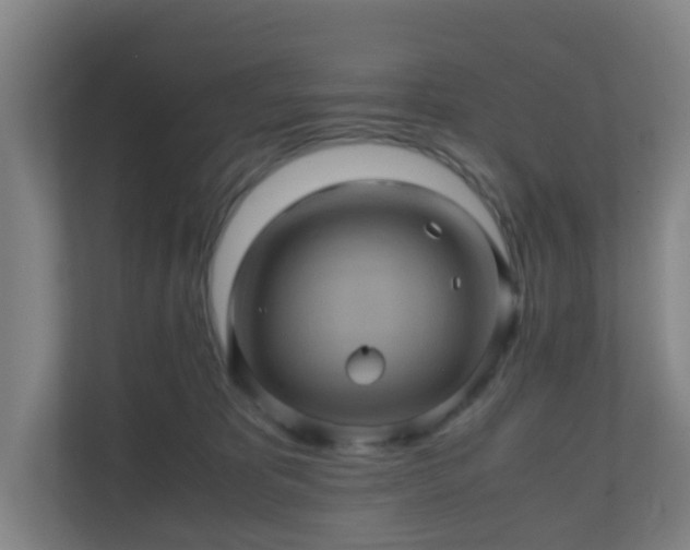 X0000110990325200906261455