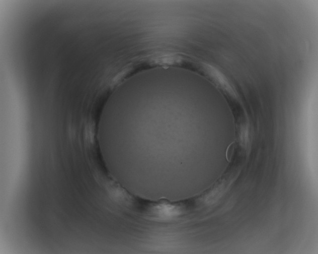 X0000110990326200906261455