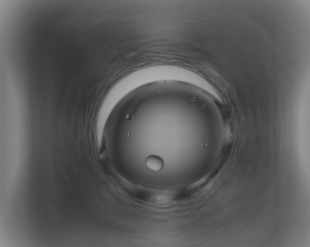 X0000110990327200906261455