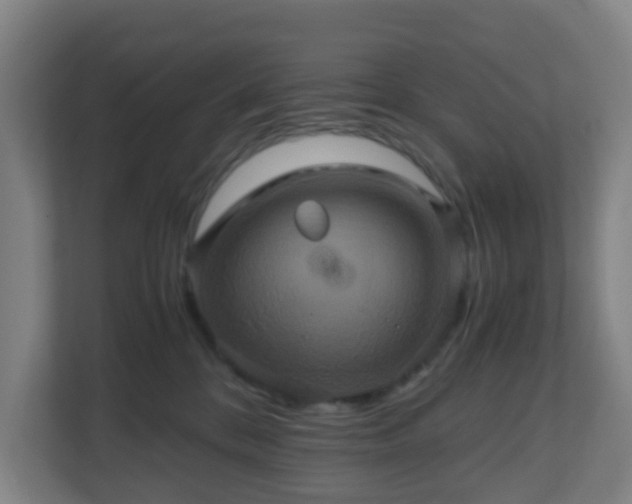 X0000110990328200906261455