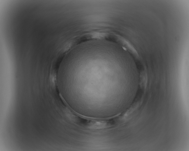 X0000110990329200906261454