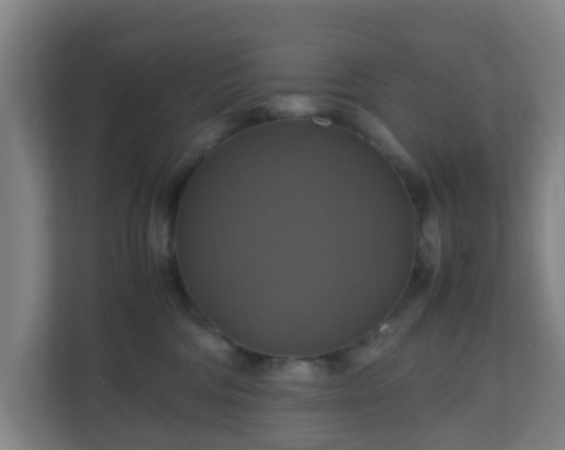 X0000110990330200906261454