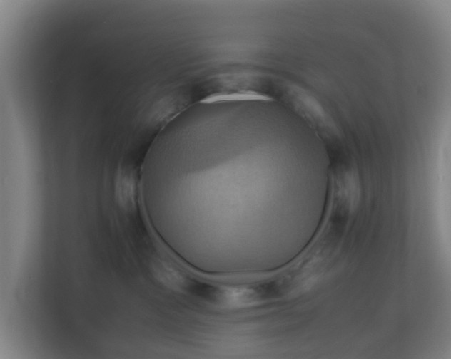 X0000110990333200906261454