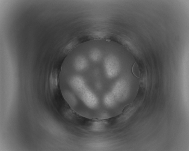 X0000110990334200906261454