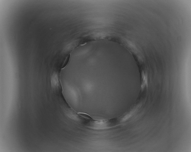 X0000110990335200906261454