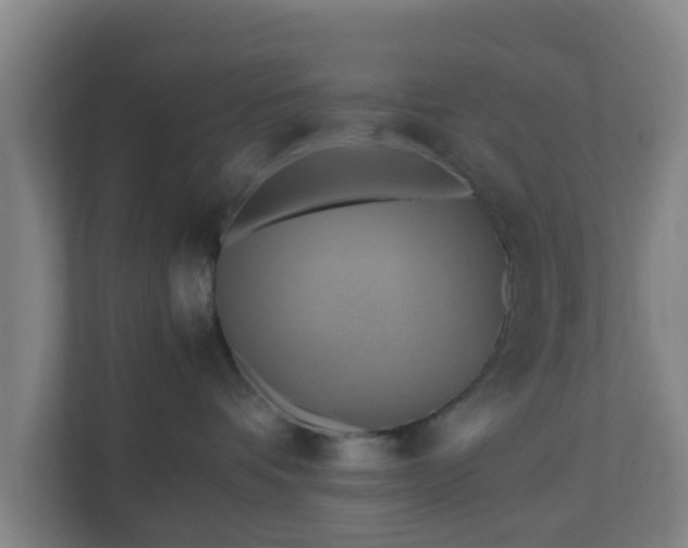 X0000110990336200906261454