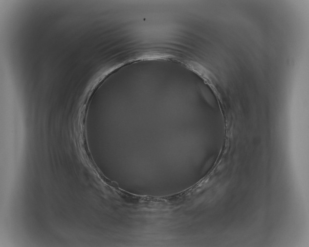 X0000110990337200906261454