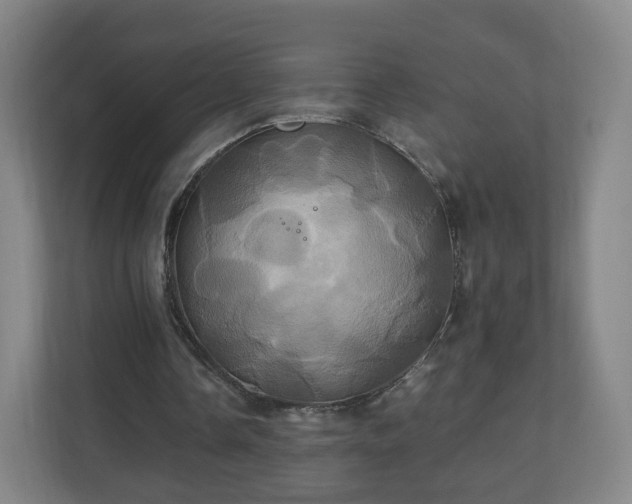 X0000110990338200906261454