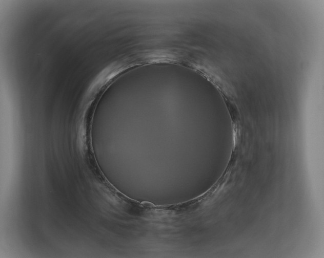 X0000110990339200906261454