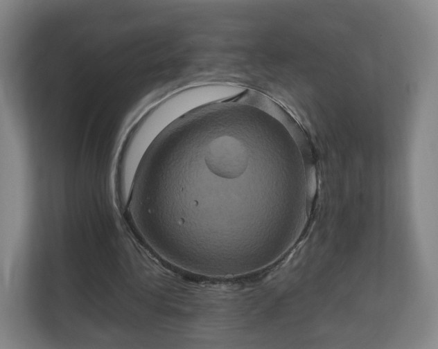 X0000110990340200906261454