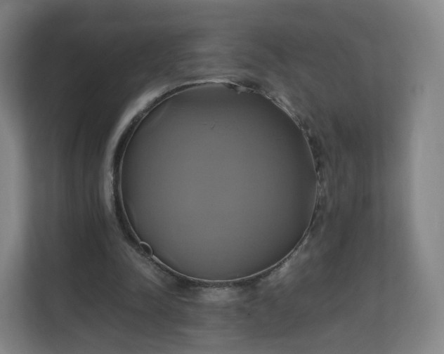 X0000110990342200906261454