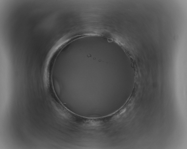 X0000110990343200906261454
