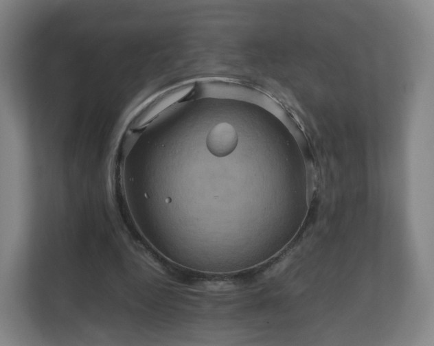 X0000110990344200906261454